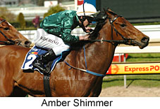 Amber Shimmer (14772 bytes)