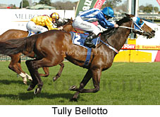 Tully Bellotto (14772 bytes)
