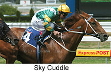Sky Cuddle (15551 bytes)