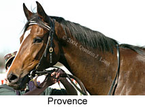 Provence (11630 bytes)