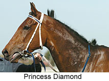 Princess Diamond (11675 bytes)