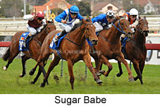 Sugar Babe (14772 bytes)