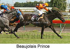 Beaujolais Prince (17778 bytes)