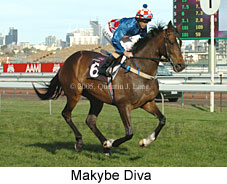 Makybe Diva  (17710 bytes)