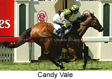 Candy Vale (18507 bytes)