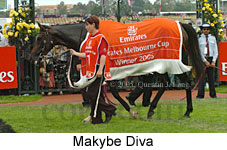 Makybe Diva (18507 bytes)