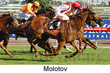 Molotov (14872 bytes)