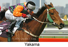 Yakama (15157 bytes)