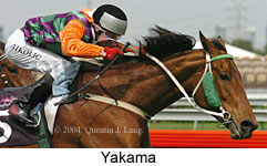 Yakama (15191 bytes)