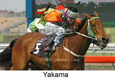 Yakama (14788 bytes)