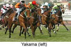 Yakama (17063 bytes)