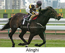 Alinghi (14262 bytes)