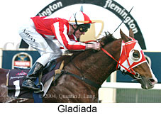 Gladiada (16300 bytes)