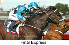 Final Express (16287 bytes)
