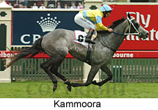 Kammoora (18507 bytes)