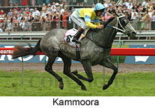 Kammoora (18507 bytes)