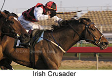 Irish Crusader (14672 bytes)