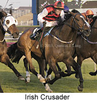 Irish Crusader (17208 bytes)