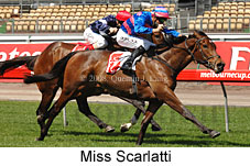 Miss Scarlatti (17710 bytes)