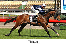 Tindal (17710 bytes)