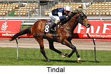 Tindal (17710 bytes)