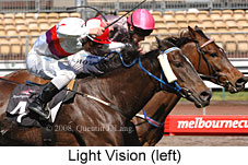 Light Vision (17710 bytes)