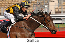 Gallica (17710 bytes)