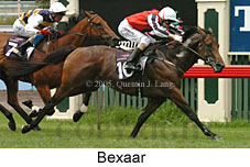 Bexaar (14872 bytes)