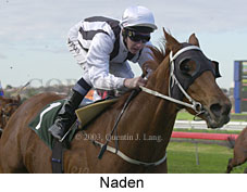 Naden (12893 bytes)