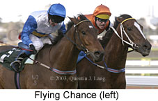 Flying Chance (12644 bytes)