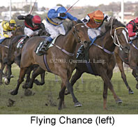 Flying Chance (15454 bytes)