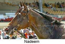 Nadeem (18507 bytes)