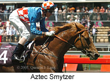 Aztec Smytzer (18507 bytes)