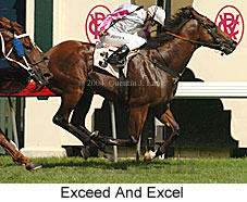 Exceed and Excel (20118 bytes)