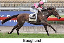 Baughurst (14772 bytes)