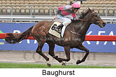 Baughurst (14772 bytes)