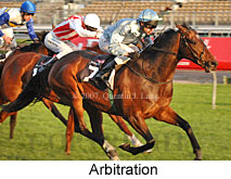 Arbitration (17710 bytes)