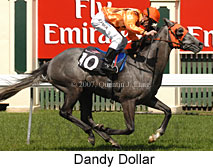 Dandy Dollar (17710 bytes)