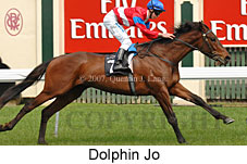 Dolphin Jo (17710 bytes)