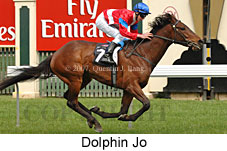 Dolphin Jo (17710 bytes)