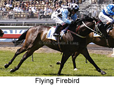 Flying Firebird (19602 bytes)