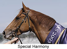 Special Harmony (12124 bytes)