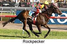 Rockpecker (18507 bytes)