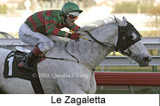 Le Zagaletta (12511 bytes)