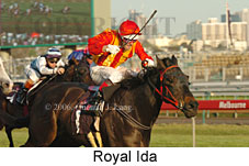 Royal Ida (17710 bytes)
