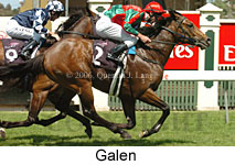 Galen (17710 bytes)