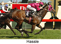 Hassle (17710 bytes)