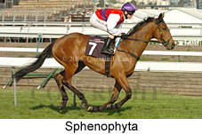Sphenophyta (17710 bytes)