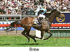 Brew (19914 bytes)