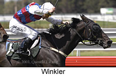 Winkler (13450 bytes)